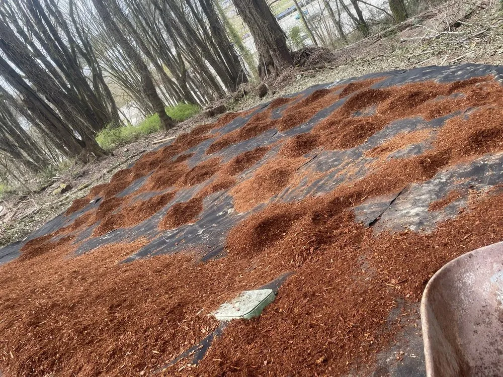 Slide of Trejo General Contractor