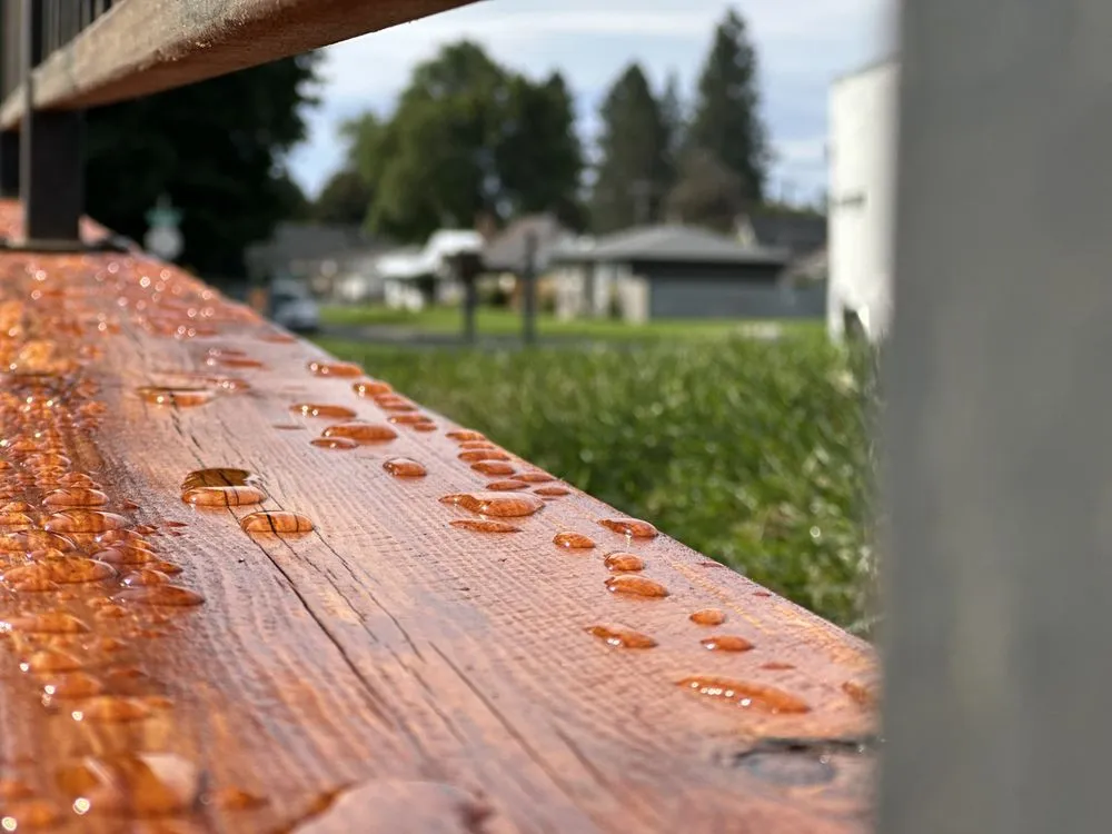 Slide of Tremor Construction