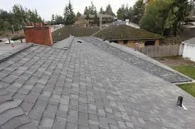 Slide of Trenick Roofing