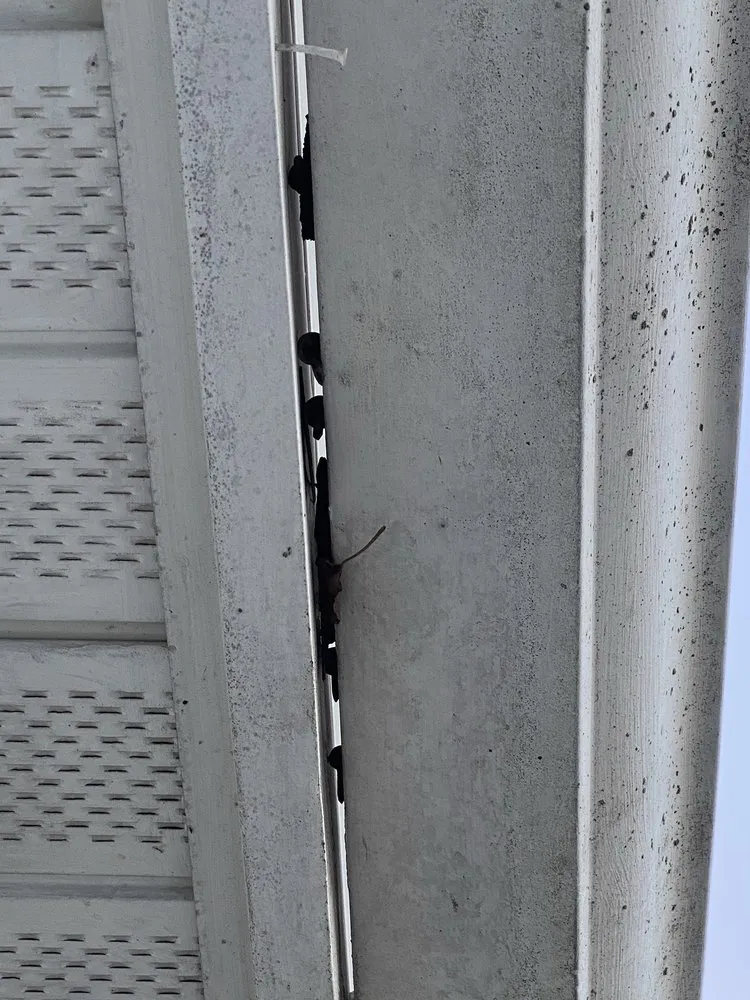 Slide of Trenton Roofing & Siding