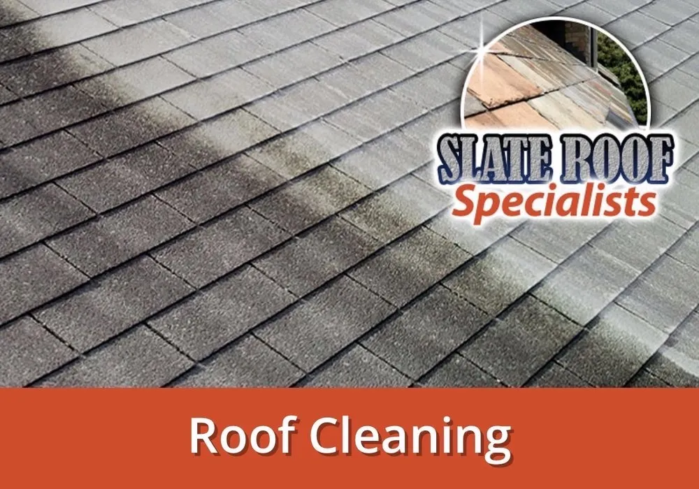 Slide of Tri City Pressure Washing & More