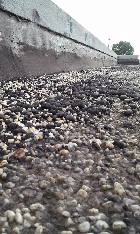 Slide of Tri-Kote Roofing