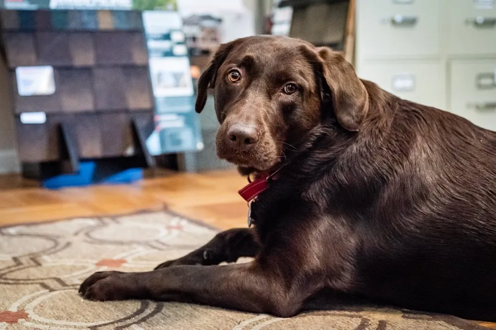 Slide of Triangle Roofing