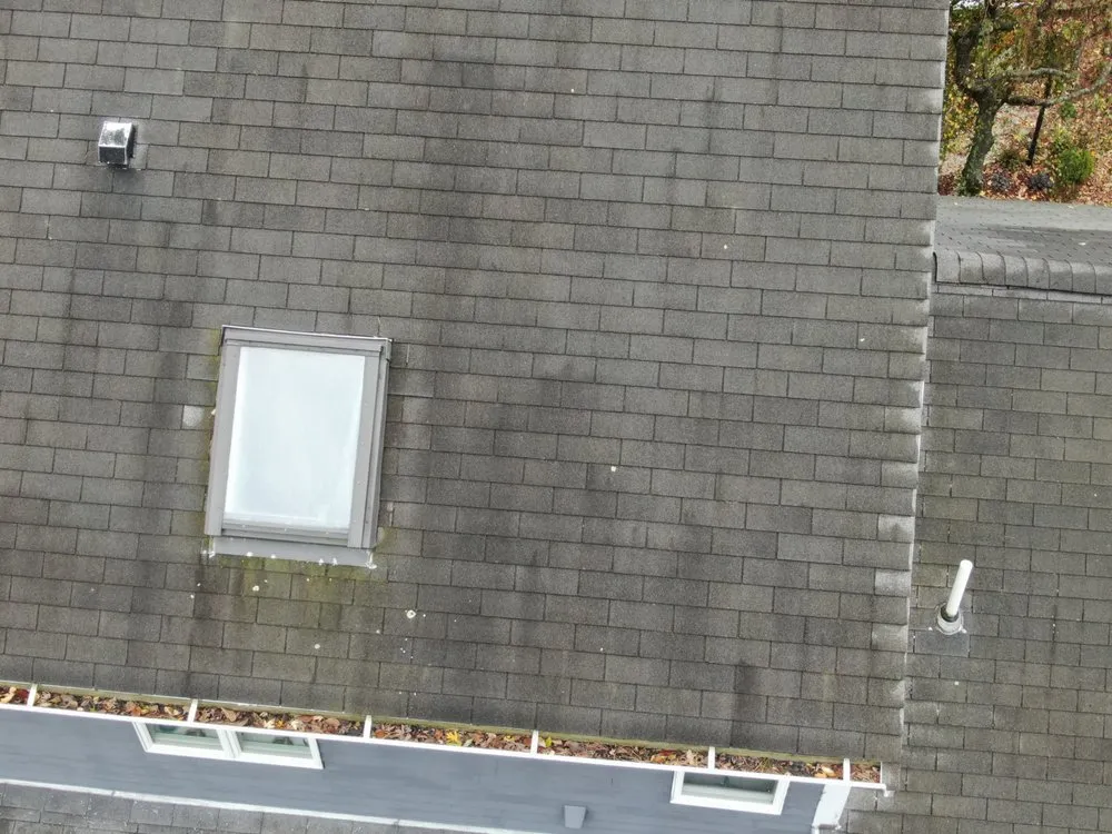 Slide of Trident Home Solutions