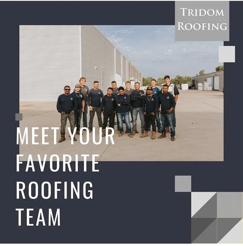 Slide of Tridom Roofing