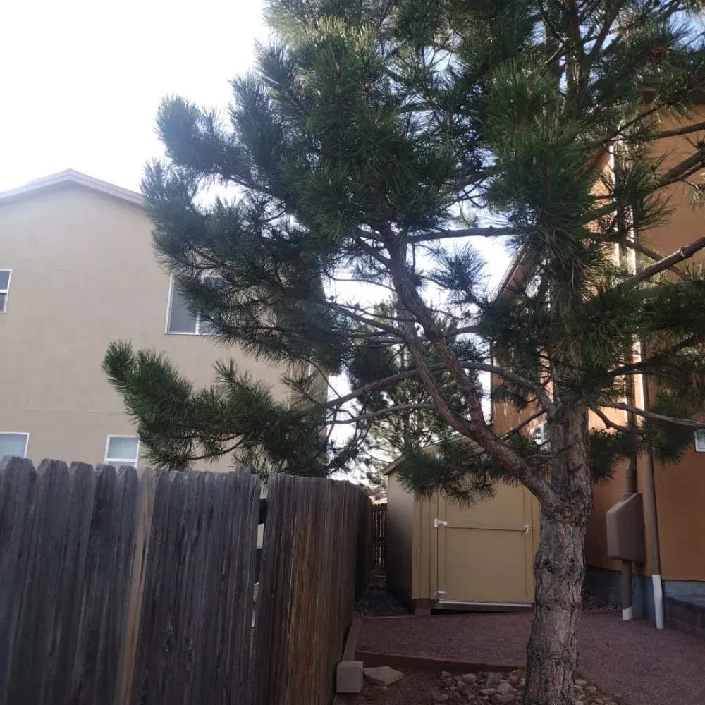 Slide of Trillo Roofing