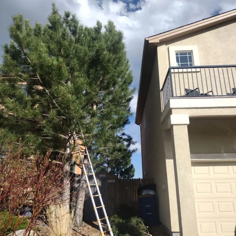 Slide of Trillo Roofing