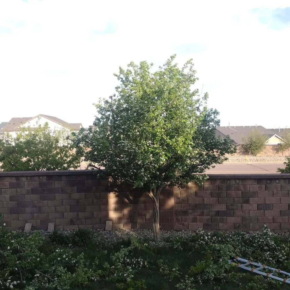 Slide of Trillo Roofing