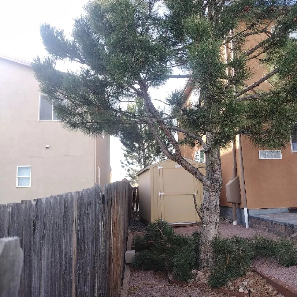 Slide of Trillo Roofing