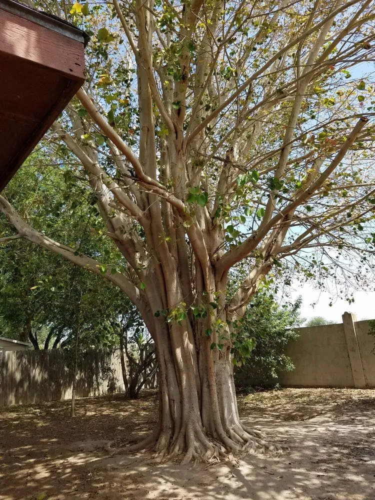 Slide of Trinidad Services