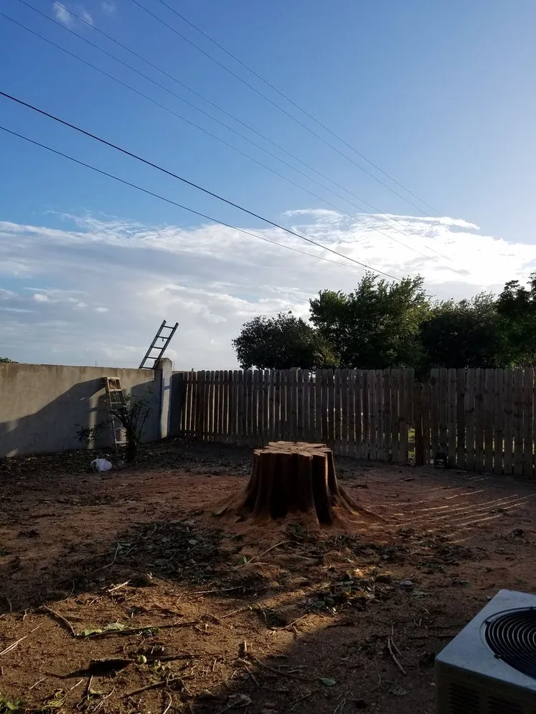 Slide of Trinidad Services