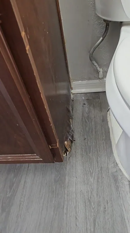 Slide of Trinity Renovation Services