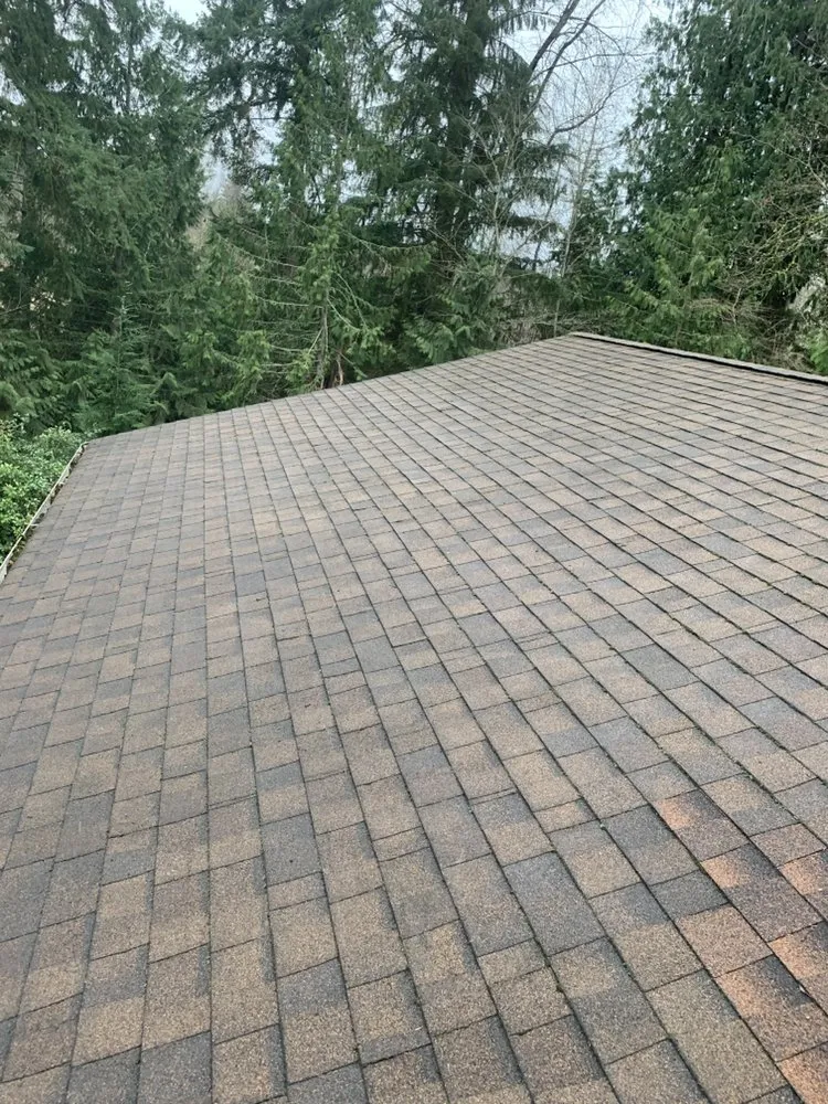 Slide of Trinity Roofing & Home Maintenance