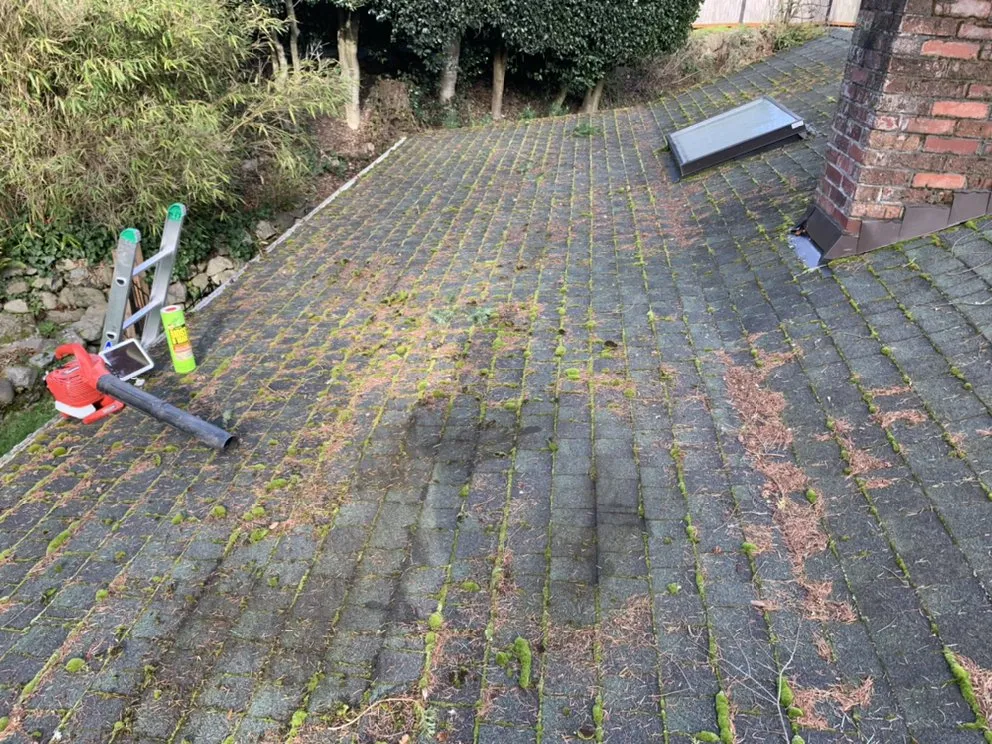 Slide of Trinity Roofing & Home Maintenance