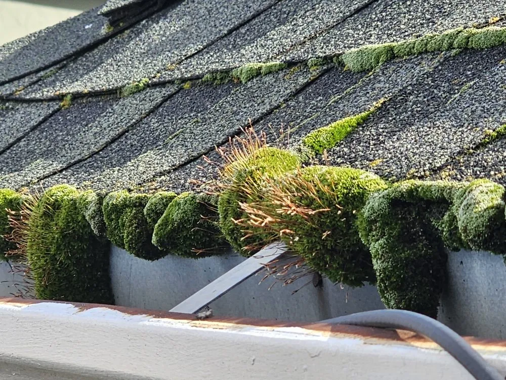 Slide of Triple C Handyman Service