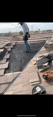 Triple M Roofing