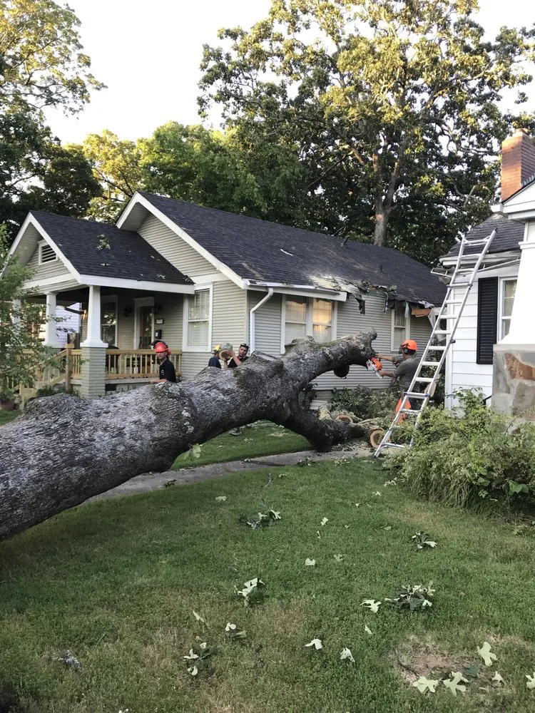 Slide of Triple R Improvement