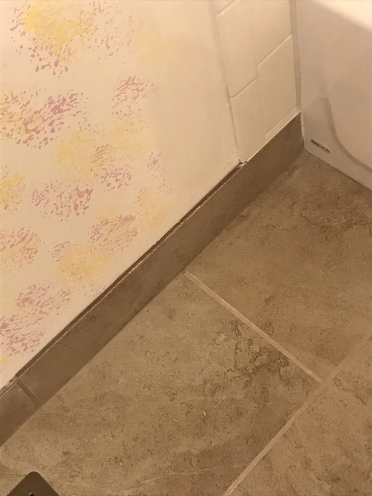 Slide of Triton Plus Inc or Triton Professionals