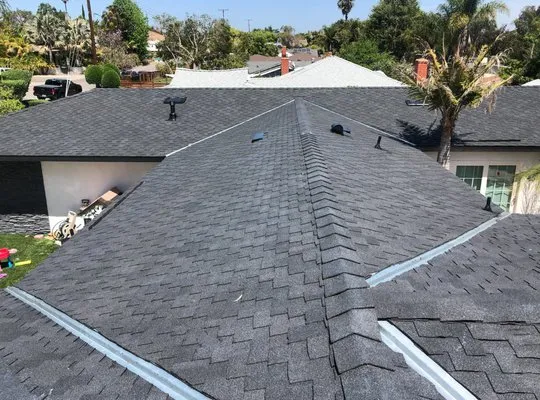 Tritonz Roofing Logo