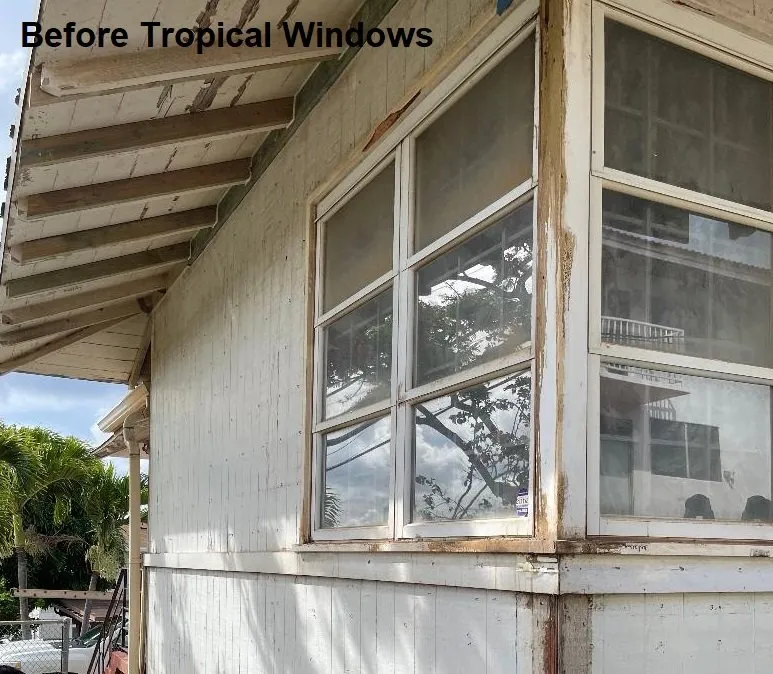 Slide of Tropical Wholesale