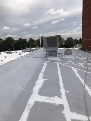 Trout’s Roof Coating Logo