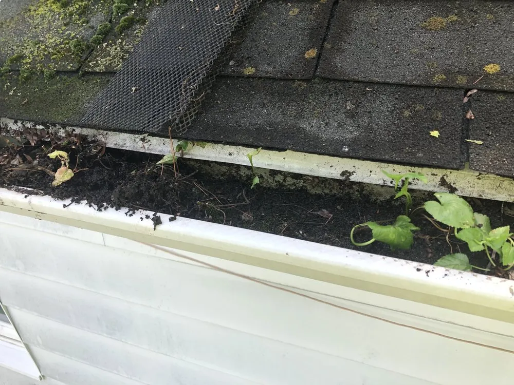 Slide of Tru Blu House Washing Specialist