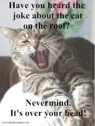 Slide of Tru-Top Roofing