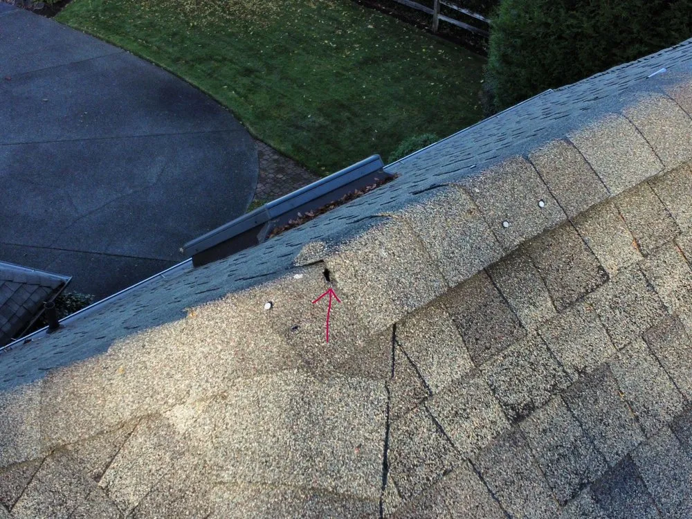 Slide of True Blue Roofing And Siding