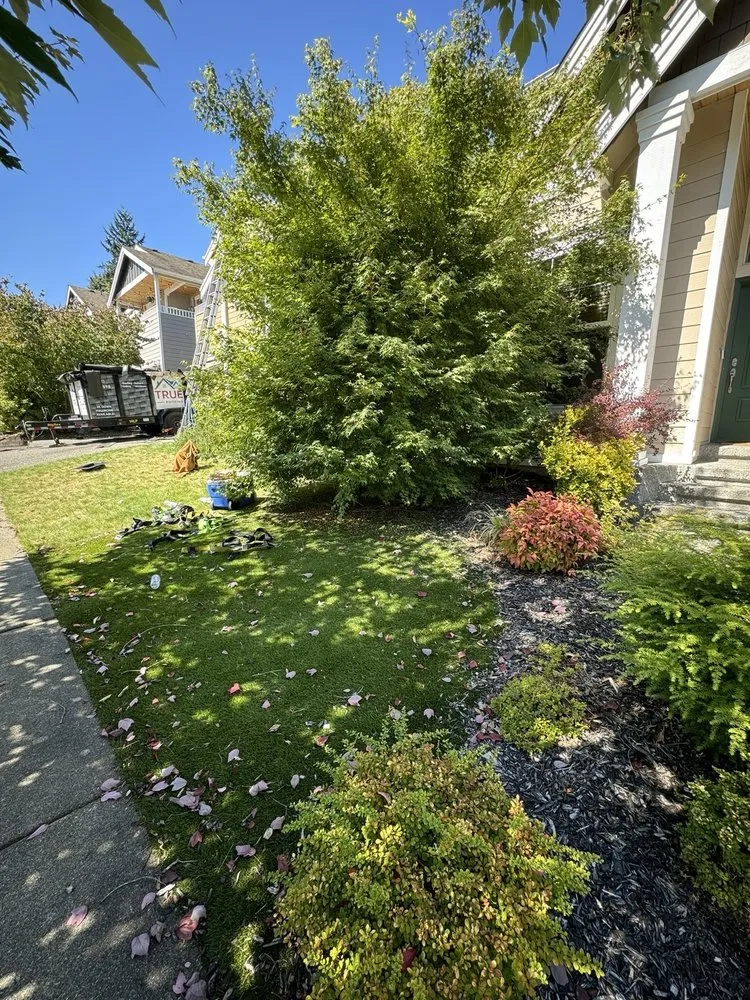 Slide of True Blue Roofing And Siding