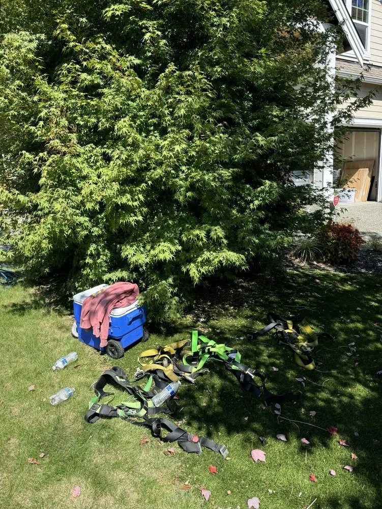 Slide of True Blue Roofing And Siding