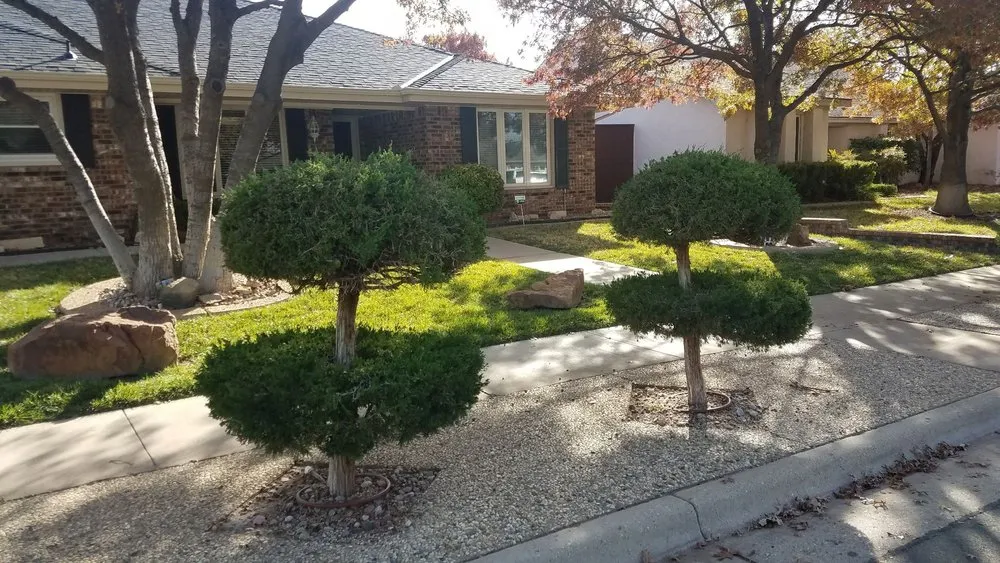 Slide of True Care Services