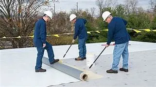 Slide of True Care Services