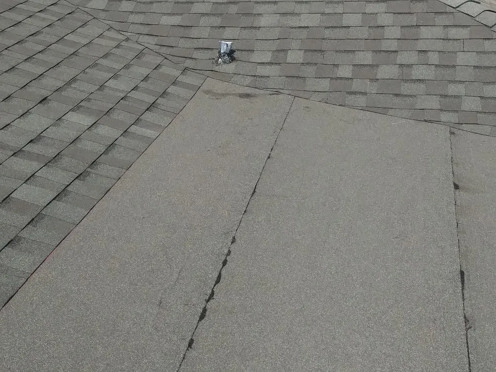 Slide of True Care Services