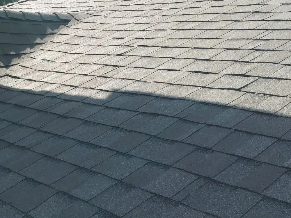 Slide of True Care Services