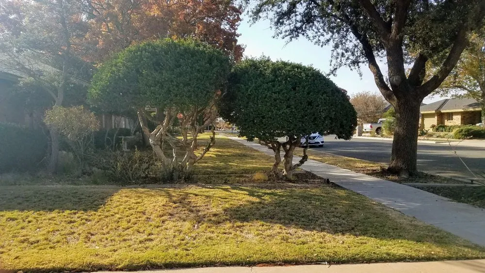 Slide of True Care Services