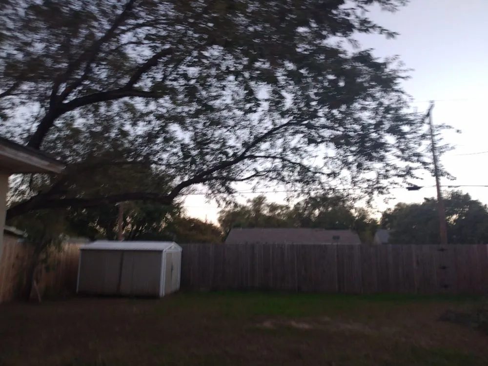 Slide of True Care Services