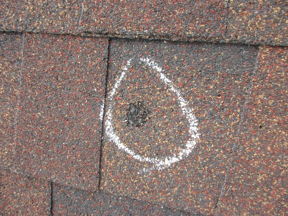 Slide of True Nature Roofing