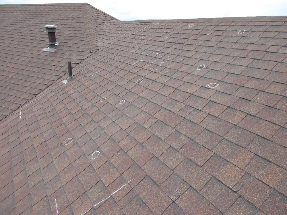 Slide of True Nature Roofing