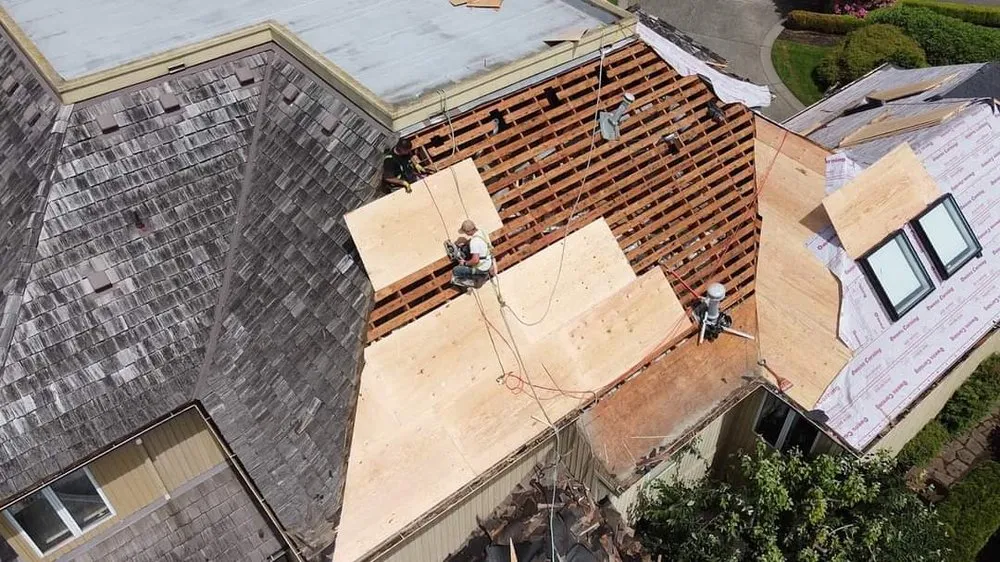 Slide of True North Roof Tech & Contractors