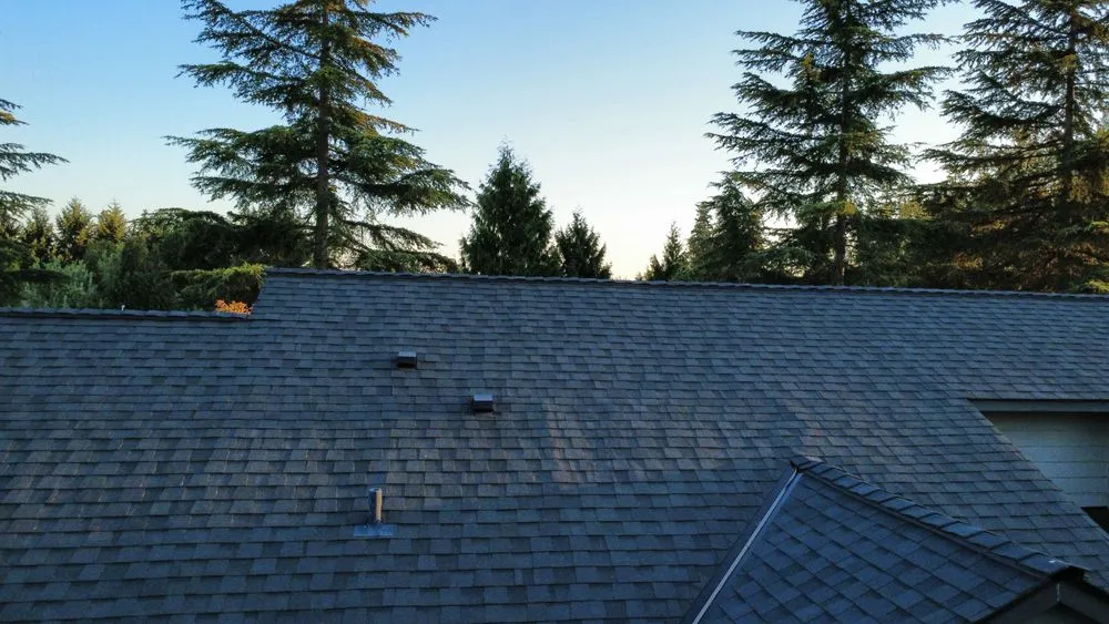 Slide of True Roofing NW