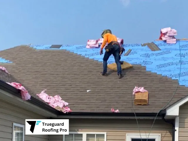 Slide of Trueguard Roofing Pro