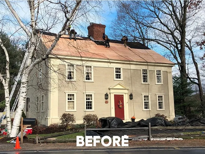 Slide of TRUEHOME Roofing