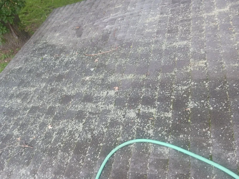 Slide of TrueNorth Pressure Wash