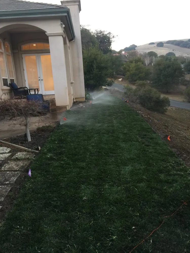 Slide of Trujillo’s roofing