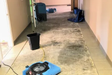 Slide of TruMark Roofing