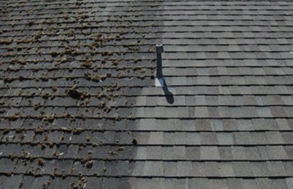 Reliable roof installation in Pawleys Island , SC by Trusted Roofing