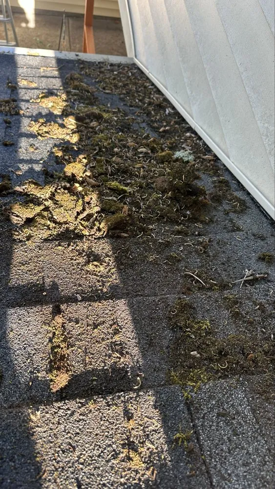 Reliable roof installation in Cathlamet, WA by Trusted Window Cleaning