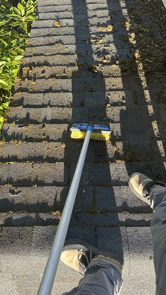 Emergency roof repair in Cathlamet, WA - Trusted Window Cleaning