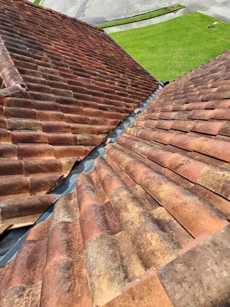 Expert shingle roofing service experts serving Geismar, LA - T&RV Construction