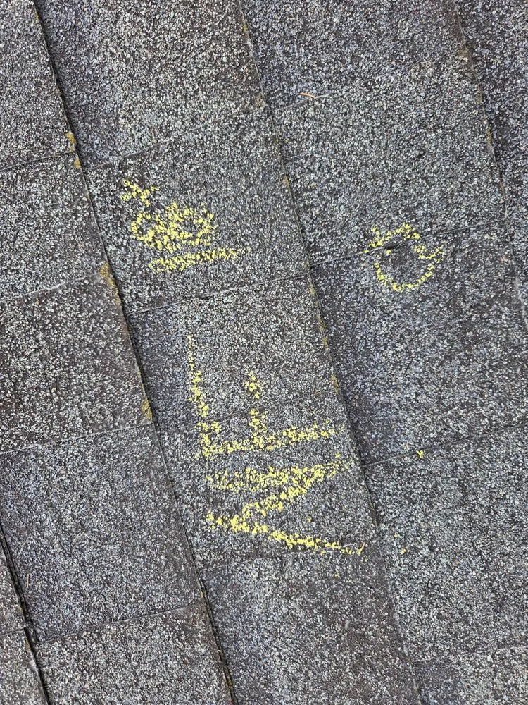 Slide of T's Property Care